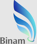 Binam Inc