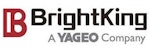 BrightKing Electronics Co., Ltd.-ロゴ