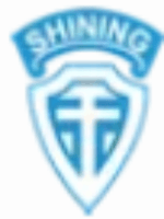 SHINING E&E INDUSTRIAL CO., LTD.-ロゴ