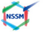 NSスチレンモノマー株式会社-ロゴ