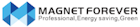 Xiamen Magnet Forever Electronic Co., Ltd.